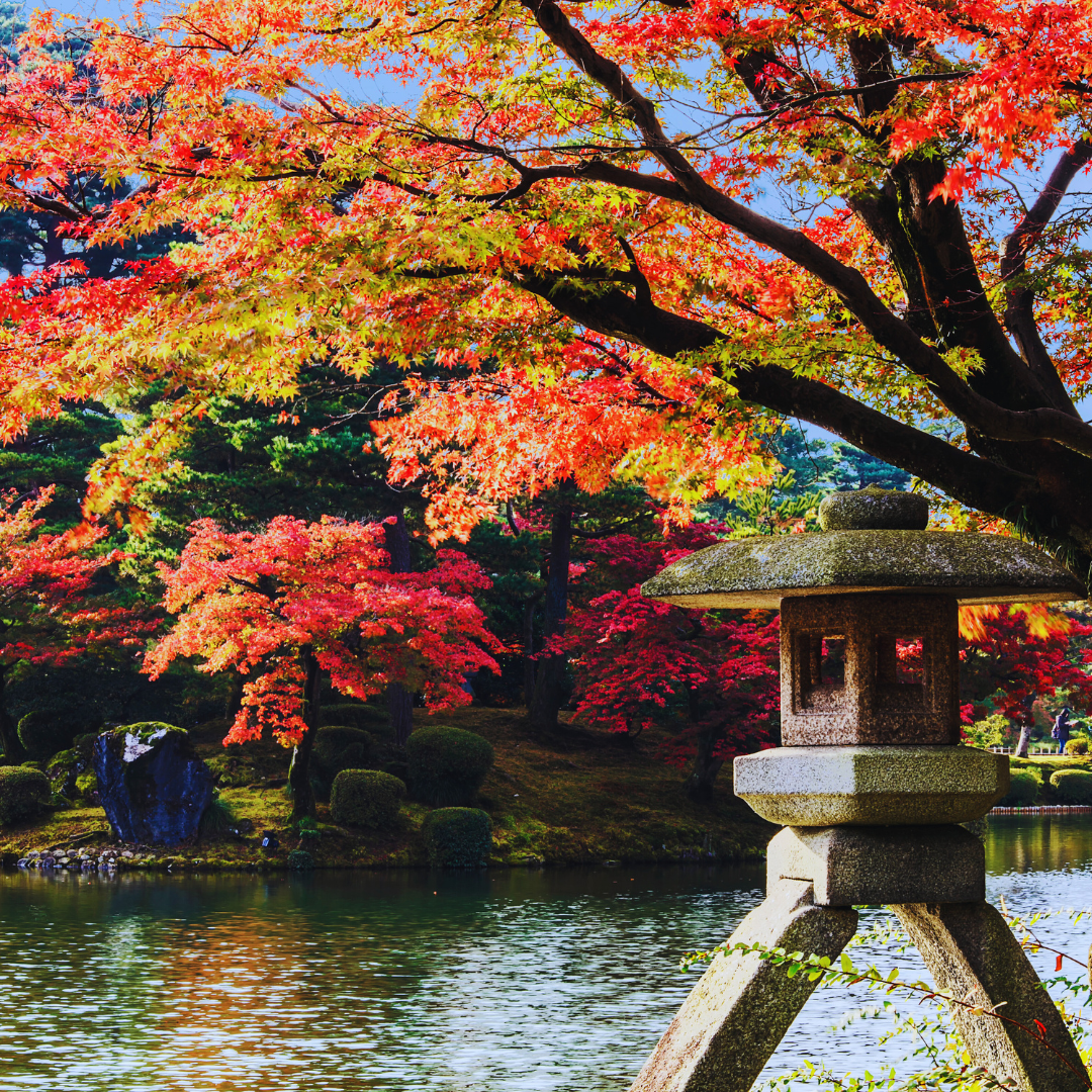 石川県 実績