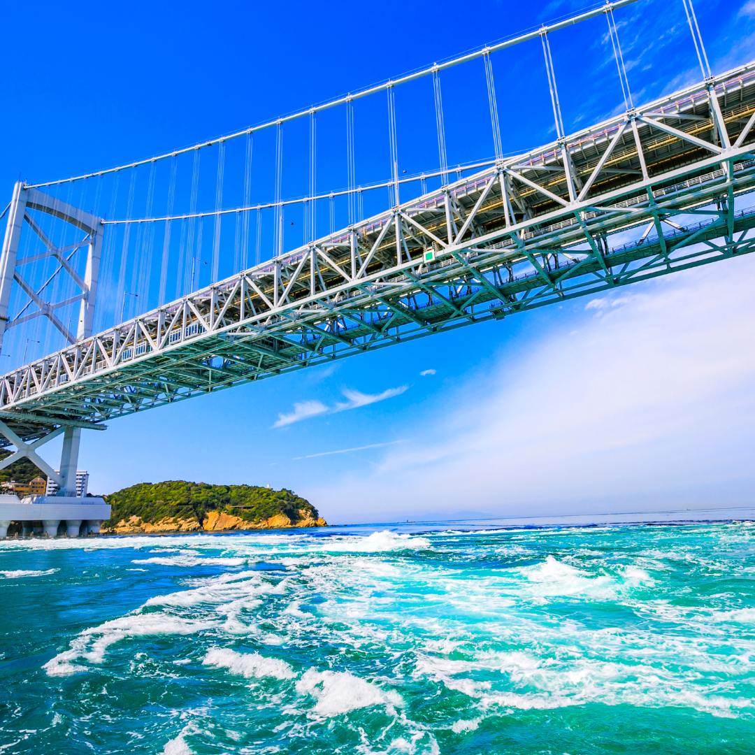 徳島県 実績