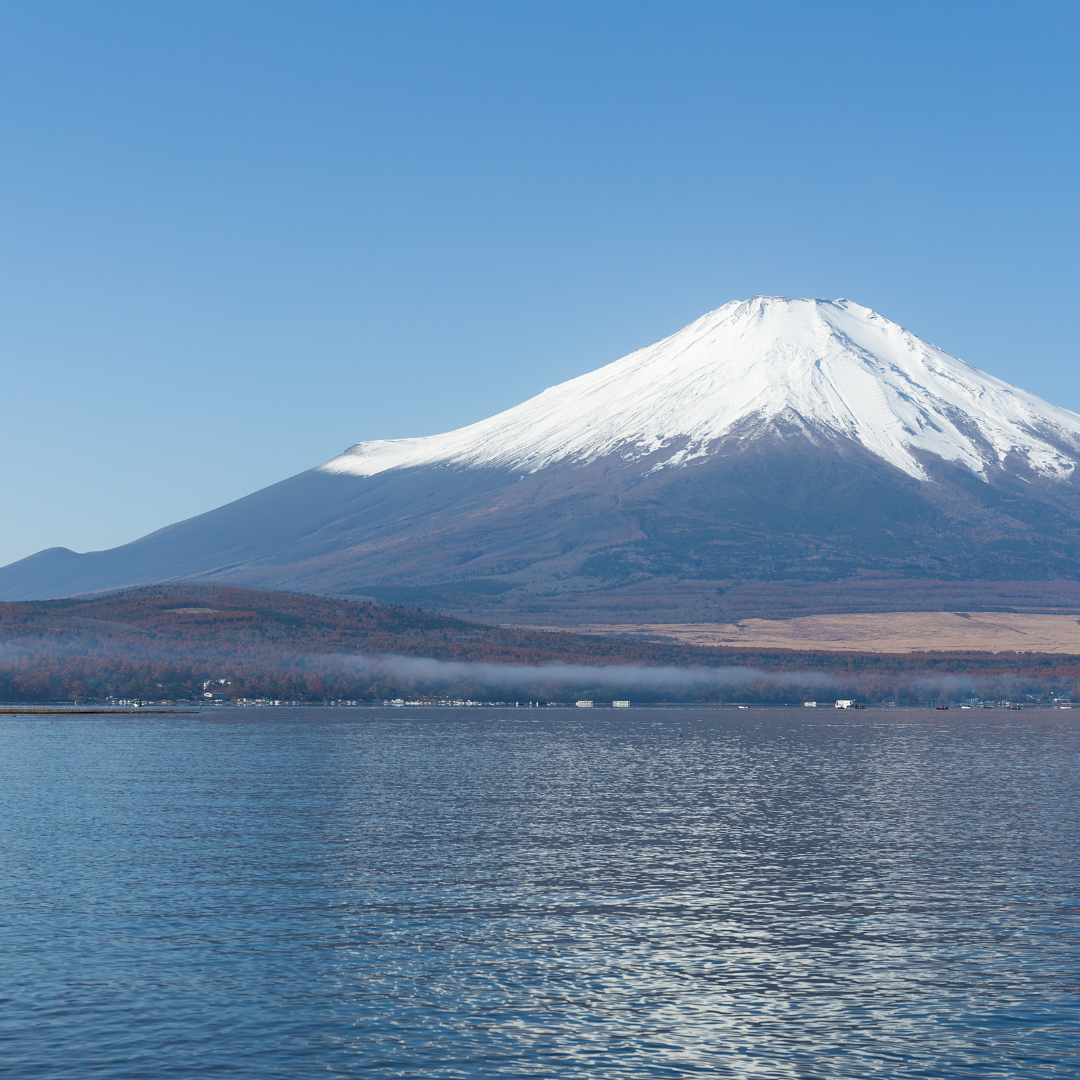 山梨県 実績